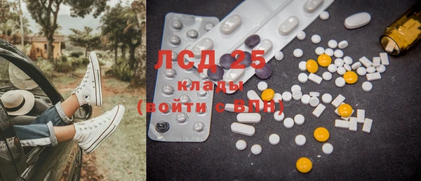 стаф Алексин