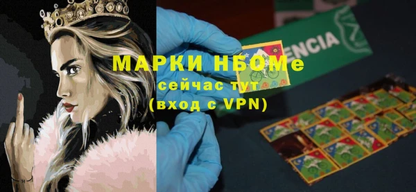 стаф Алексин