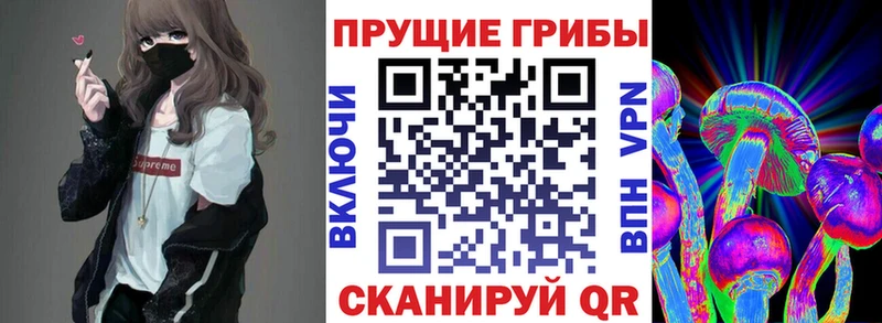 Псилоцибиновые грибы мицелий  Пустошка 